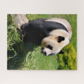 Riesenpanda stehend auf Stein Puzzle (Horizontal)