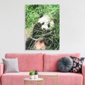 Riesenpanda versteckt sich im Gras Leinwanddruck (Insitu (Wohnzimmer))