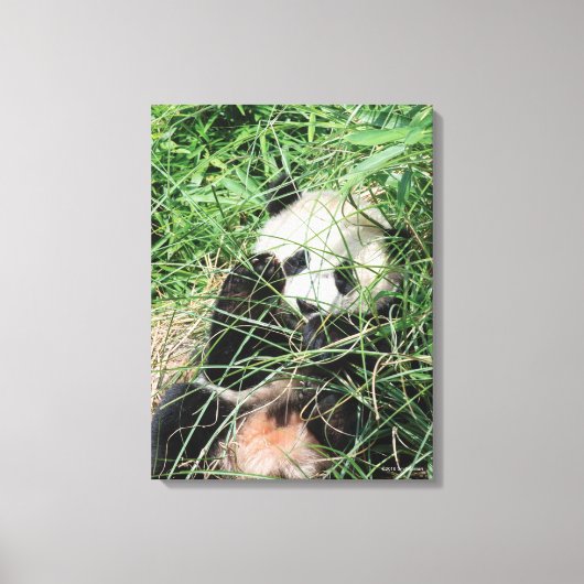 Riesenpanda versteckt sich im Gras Leinwanddruck (Vorderseite)