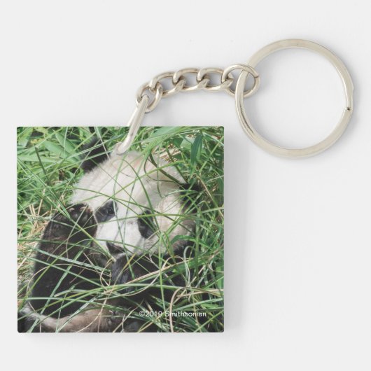 Riesenpanda versteckt sich im Gras Schlüsselanhänger (Rückseite)