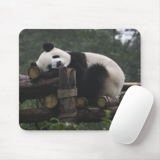 Riesenpandas beim Schutz des Riesenpanda Mousepad (Mit Mouse)