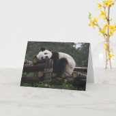 Riesenpandas beim Schutz von Riesenpanda & 3 Karte (Gelbe Blume)