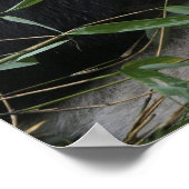 Riesenpandas im Riesenpanda-Schutz & Poster (Ecke)