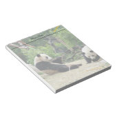 Riesenpandas Notizblock (angewinkelt)