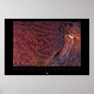 Riesenpazifischer Kraken Poster