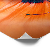 Riesenpfeffer-Blume Poster (Ecke)