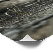 Riesenratte poster (Ecke)