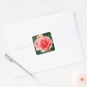 Riesenrosa Rosa nah-up Foto schön modern Quadratischer Aufkleber (Umschlag)