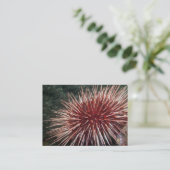 Riesenrot-Meer-Urchin - Visitenkarte (Stehend Vorderseite)