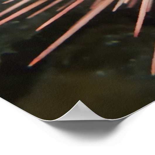 Riesenrotes Meer Urchin - Kunstdruckerei Poster (Ecke)