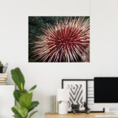 Riesenrotes Meer Urchin - Kunstdruckerei Poster (Heimbüro)