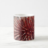 Riesenrotes Meer Urchin - Tasse (Mittel)