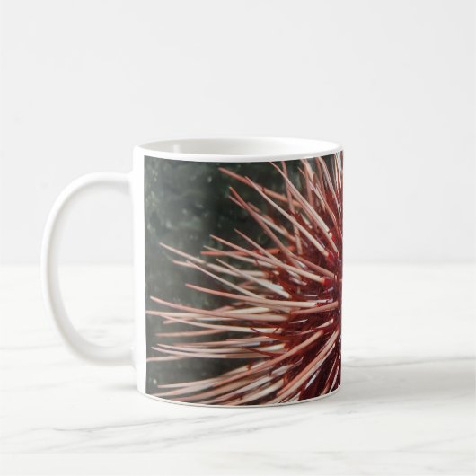 Riesenrotes Meer Urchin - Tasse (Links)