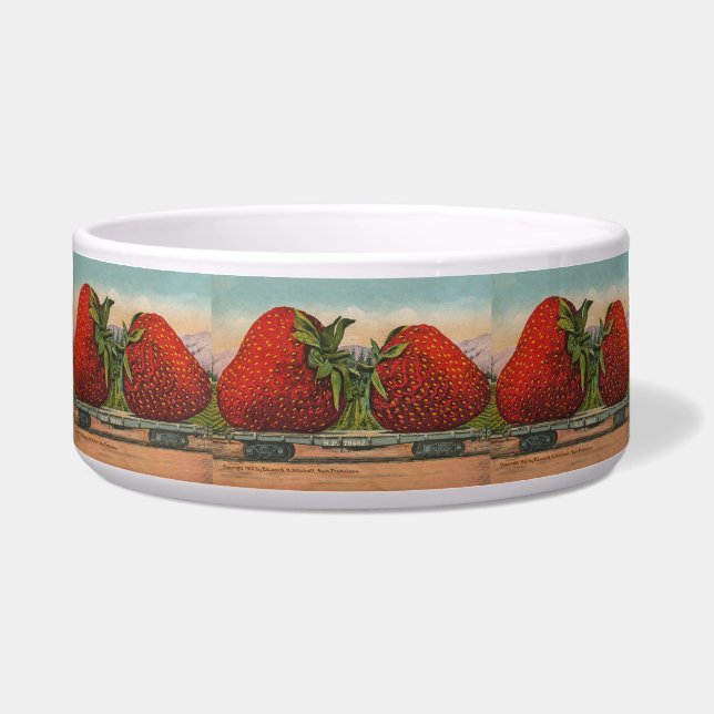 Riesens Erdbeeren Antiquität Früchte Spaß Napf (Vorderseite)