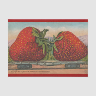 Riesens Erdbeeren Antiquität Früchte Spaß Seidenpapier