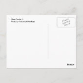 Riesenschildkröte, 1 postkarte (Rückseite)