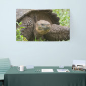 Riesenschildkröte Banner (Messeveranstaltung)