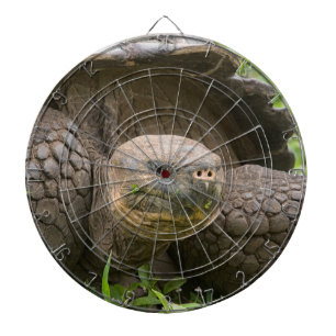 Riesenschildkröte Dartscheibe