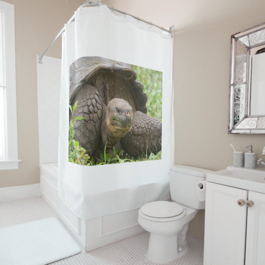 Riesenschildkröte Duschvorhang (Beispiel)