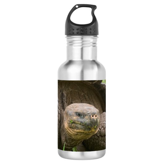 Riesenschildkröte Edelstahlflasche (Vorderseite)