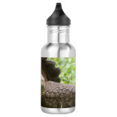 Riesenschildkröte Edelstahlflasche (Rechts)