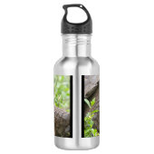 Riesenschildkröte Edelstahlflasche (Rückseite)