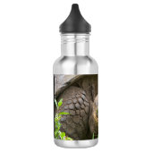 Riesenschildkröte Edelstahlflasche (Links)