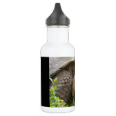 Riesenschildkröte Edelstahlflasche (Links)