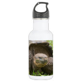 Riesenschildkröte Edelstahlflasche (Vorderseite)
