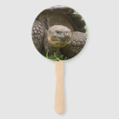 Riesenschildkröte Fächer (Rückseite)