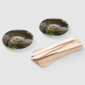 Riesenschildkröte Fächer (Non-assembled)
