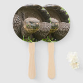 Riesenschildkröte Fächer (Vorne und Hinten)