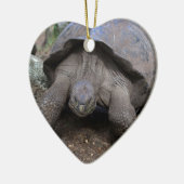 Riesenschildkröte Galapagos Inseln Keramikornament (Links)