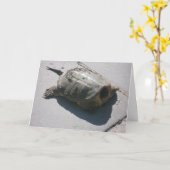 "Riesenschildkröte" Geburtstagskarte Karte (Gelbe Blume)