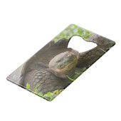 Riesenschildkröte Geldbeutel Flaschenöffner (Rückseite Schrägansicht)