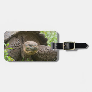 Riesenschildkröte Gepäckanhänger