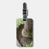 Riesenschildkröte Gepäckanhänger (Vorderseite vertikal)