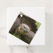 Riesenschildkröte Geschenkanhänger (Beispiel)