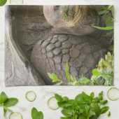 Riesenschildkröte Geschirrtuch (Gefaltet)