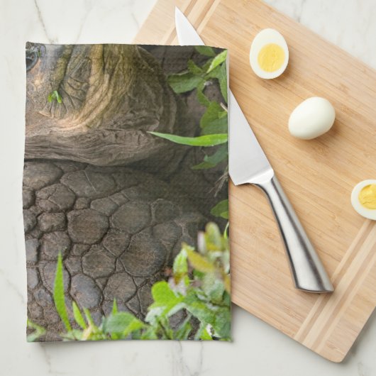 Riesenschildkröte Geschirrtuch (Viertel Falte)