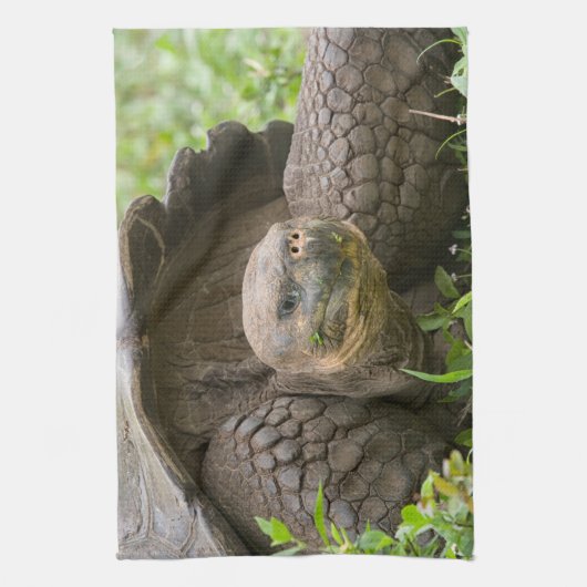 Riesenschildkröte Geschirrtuch (Vertikal)