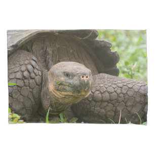 Riesenschildkröte Kissenbezug