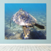 Riesenschildkröte Leinwanddruck (Insitu (Holzboden))