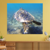 Riesenschildkröte Leinwanddruck (Insitu (Wohnzimmer))