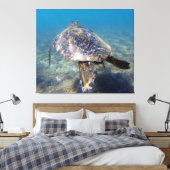 Riesenschildkröte Leinwanddruck (Insitu (Schlafzimmer))