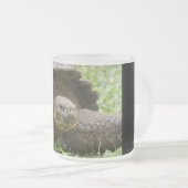 Riesenschildkröte Mattglastasse (VorderseiteRechts)