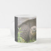 Riesenschildkröte Mattglastasse (Vorderseite Links)