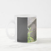 Riesenschildkröte Mattglastasse (Links)