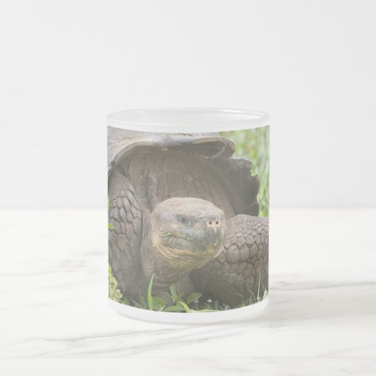 Riesenschildkröte Mattglastasse (Mittel)