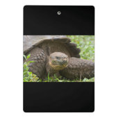 Riesenschildkröte Mini Klemmbrett (Rückseite)